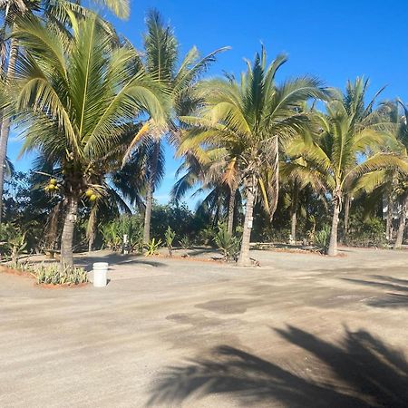 Bungalows Laguna Del Tule ซาน พาทริชิโอ เมลาเก ภายนอก รูปภาพ