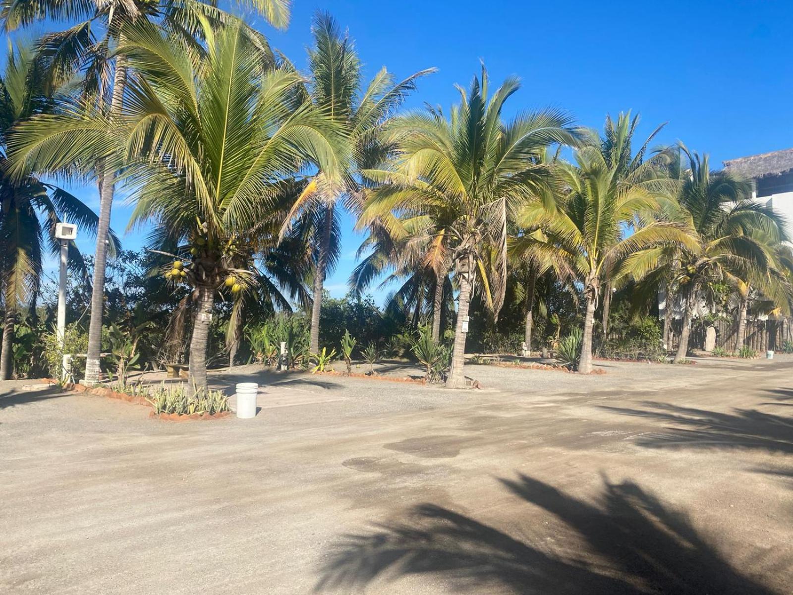 Bungalows Laguna Del Tule ซาน พาทริชิโอ เมลาเก ภายนอก รูปภาพ
